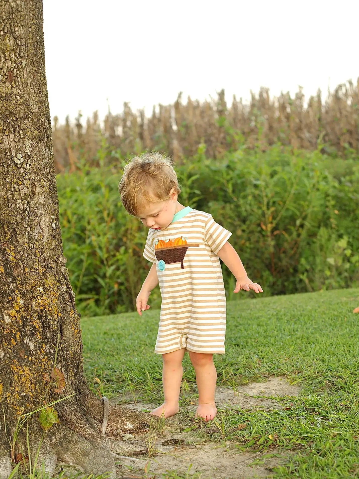 Pumpkin Harvest Tan Stripe Knit Romper with Wheelbarrow Applique