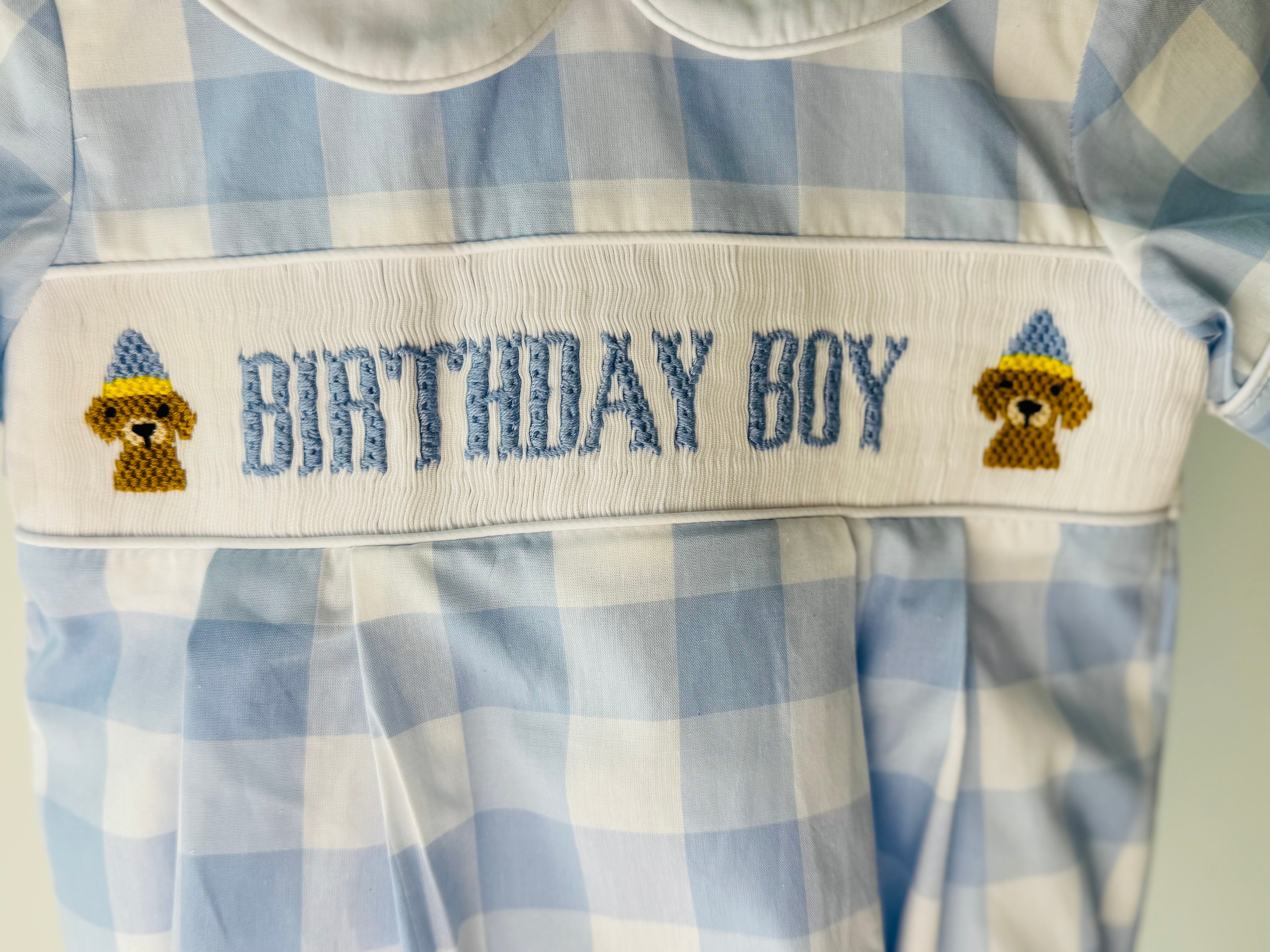 Birthday Boy Dog Bubble