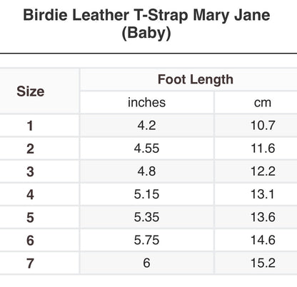 Birdie Shoes PREORDER